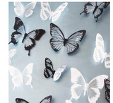 Butterflies Wall Sticker